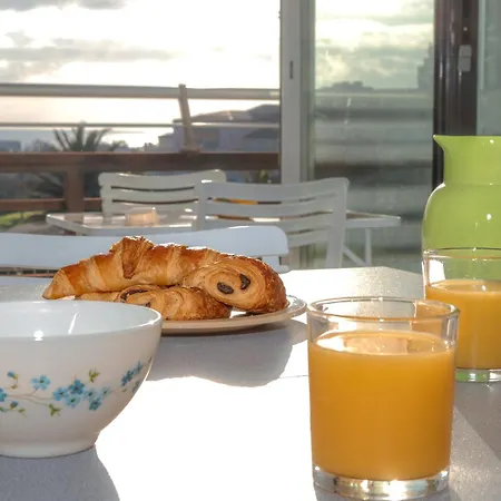 Marelia By Pom, Pkg, Logia *