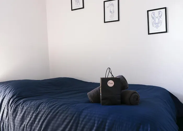 Appartement Marelia By Pom, Pkg, Logia Agde